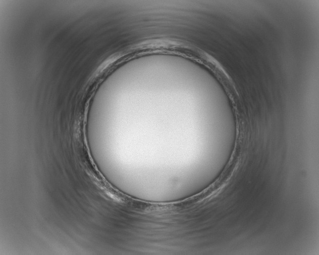 X0000081600778200701151053