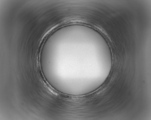 X0000081600782200701151053
