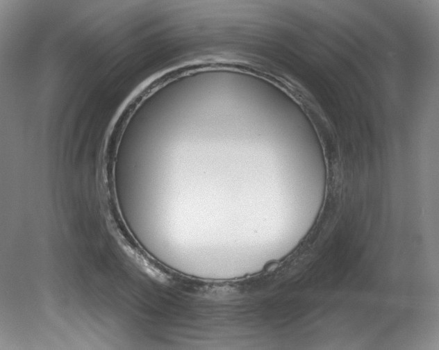 X0000081600784200701151052