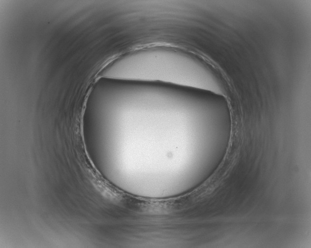 X0000081600785200701151052
