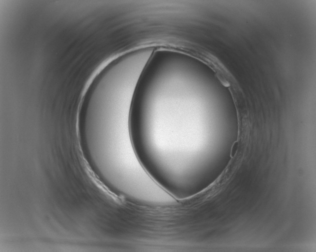 X0000081600788200701151052