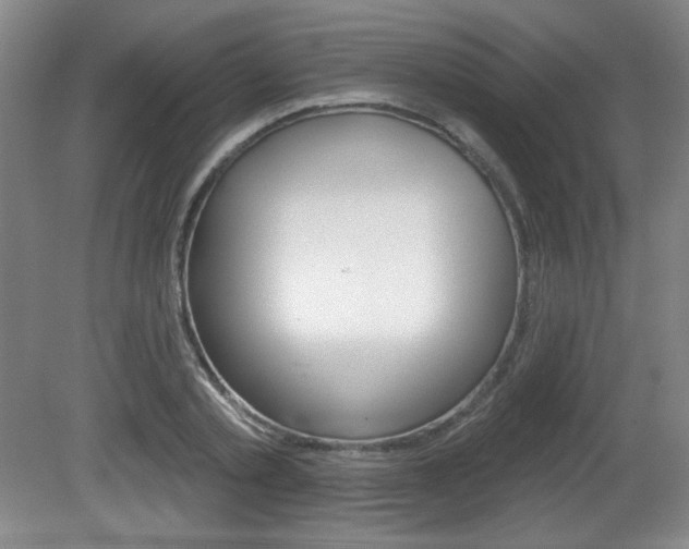 X0000081600789200701151052