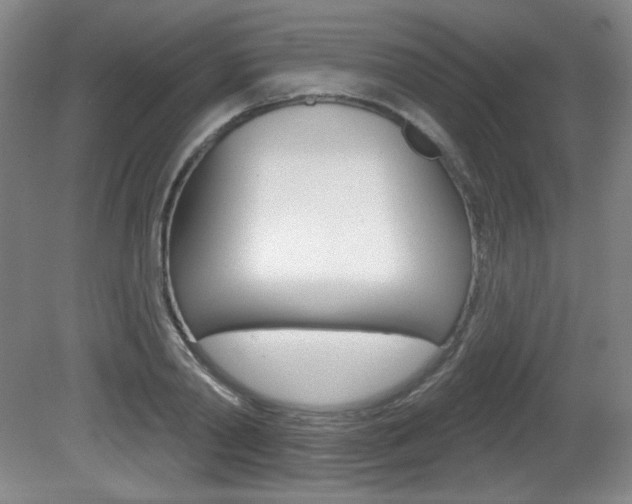 X0000081600790200701151052