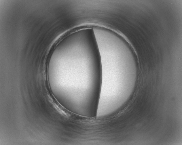 X0000081600791200701151052