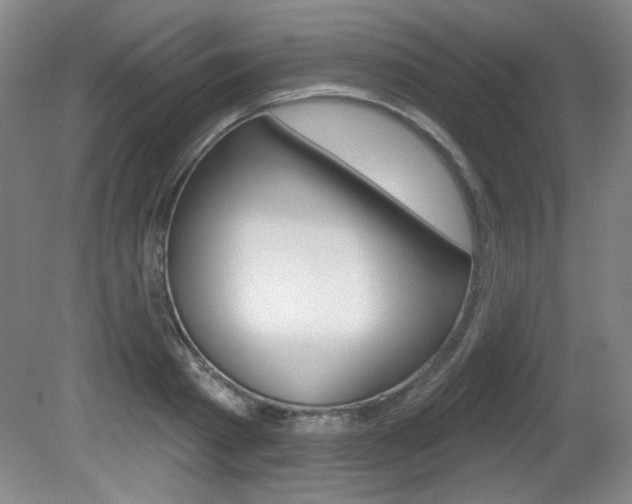 X0000081600793200701151052
