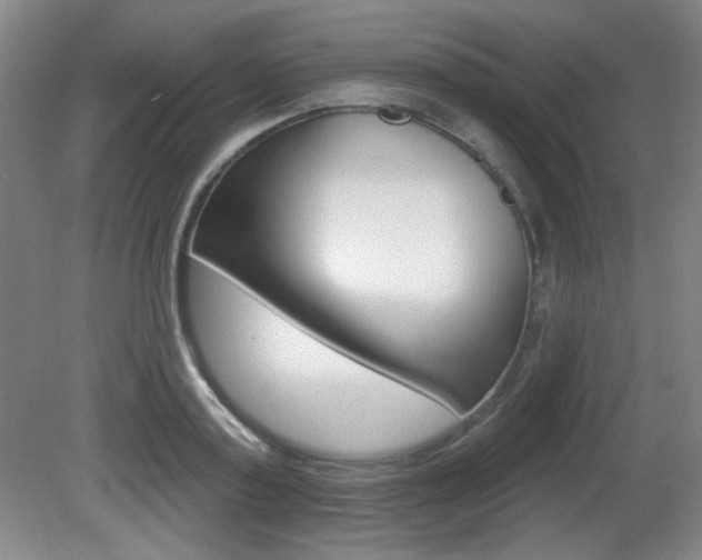 X0000081600795200701151052