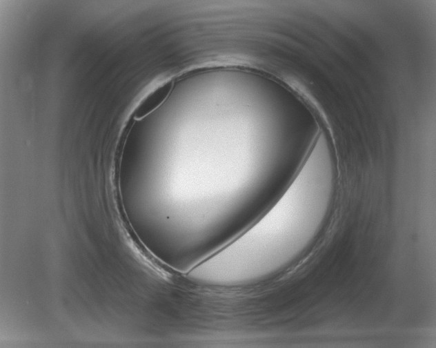 X0000081600797200701151052