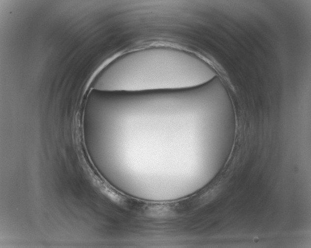 X0000081600798200701151052