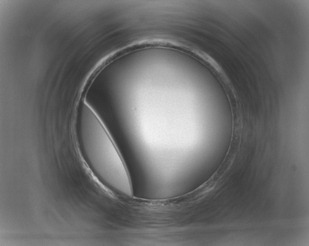 X0000081600799200701151052