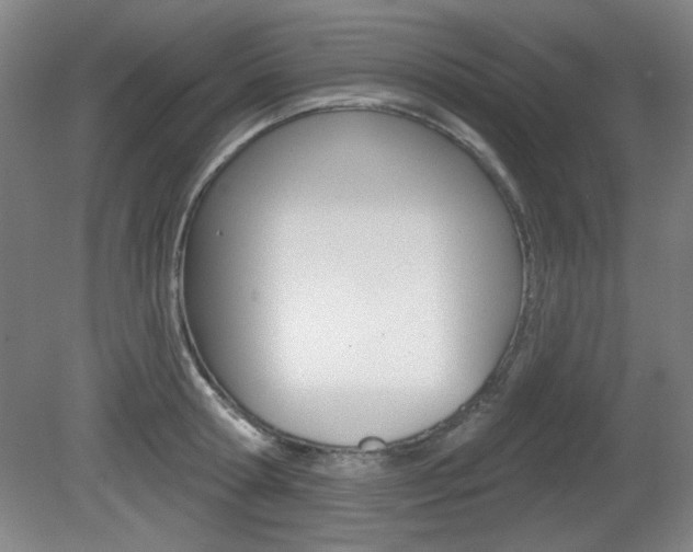 X0000081600802200701151052