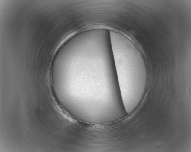 X0000081600806200701151052