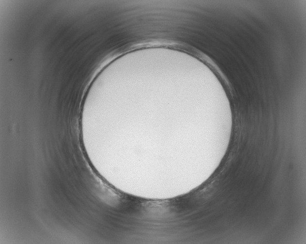 X0000081600810200701151052