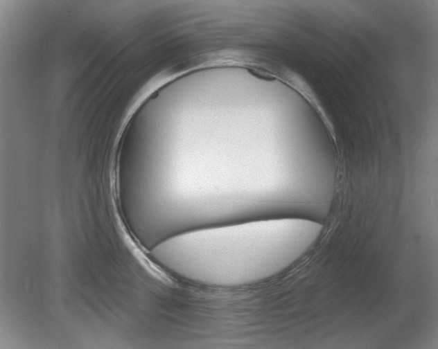 X0000081600811200701151052