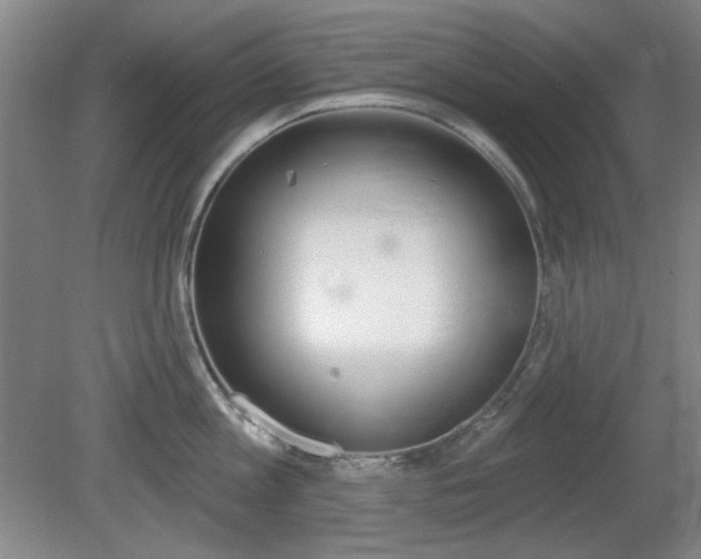 X0000081600813200701151052