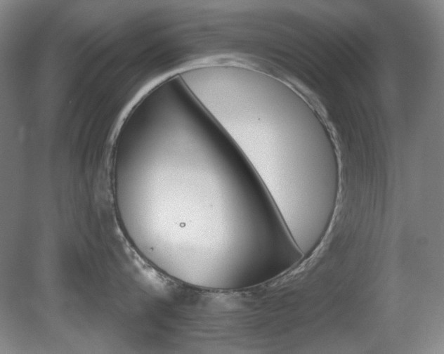 X0000081600816200701151052