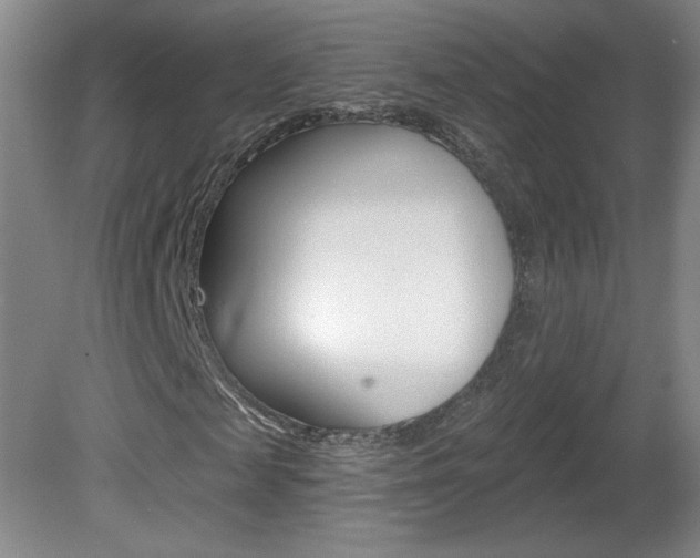 X0000081600817200701151051