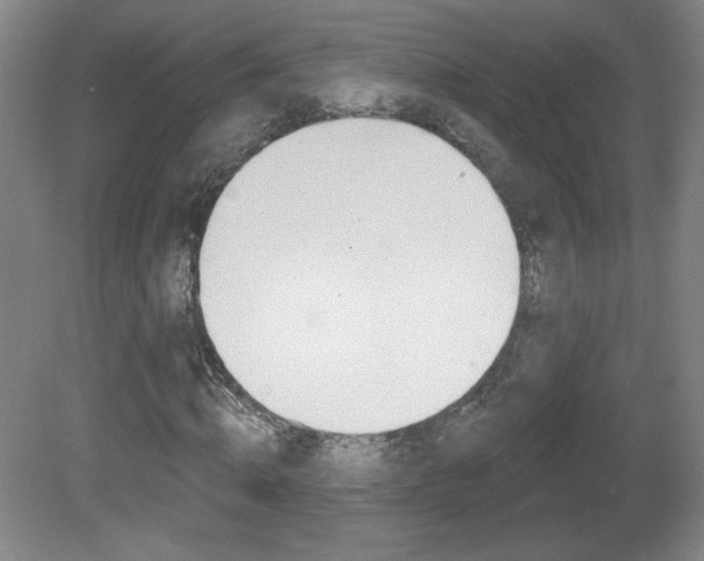 X0000081600820200701151051