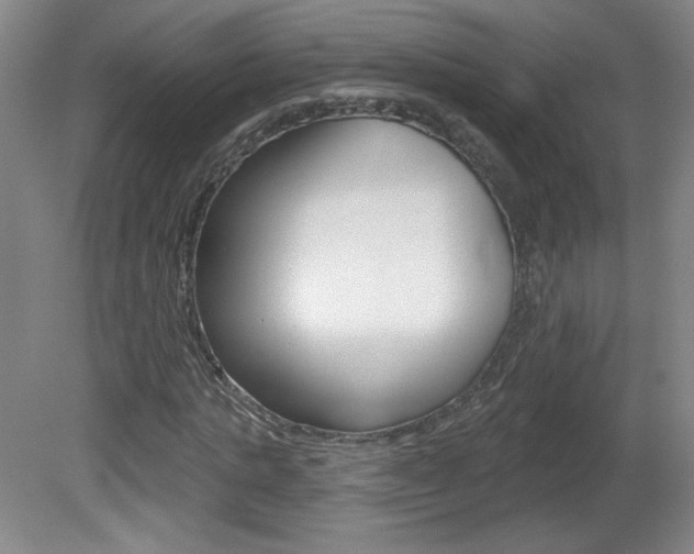 X0000081600821200701151051