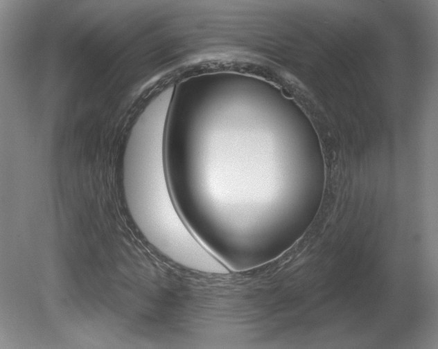 X0000081600822200701151051