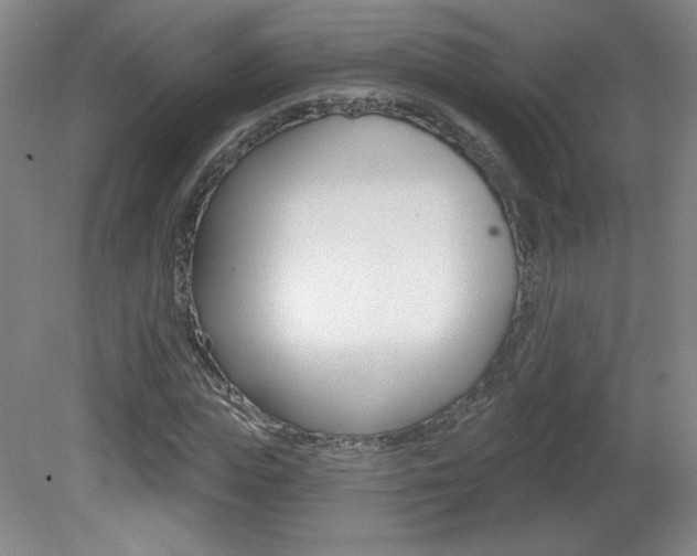 X0000081600823200701151051
