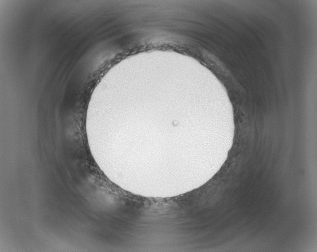 X0000081600824200701151051