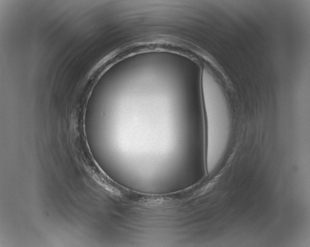 X0000081600826200701151051