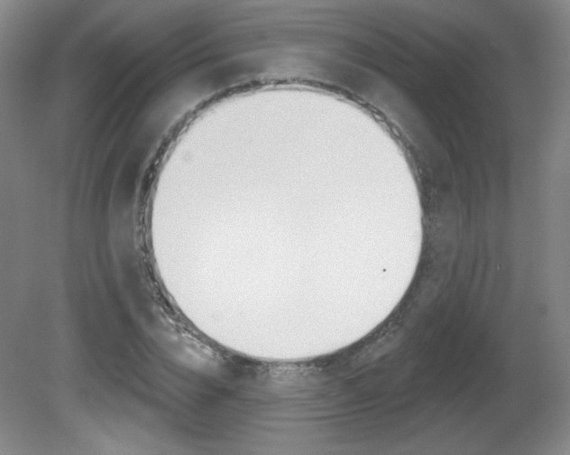 X0000081600832200701151051