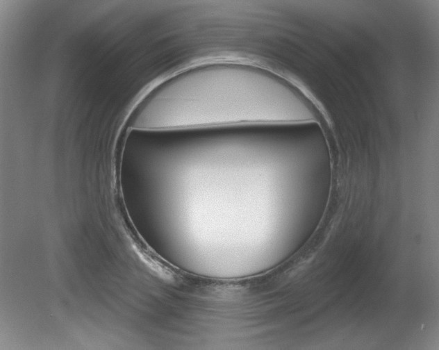 X0000081600837200701151051