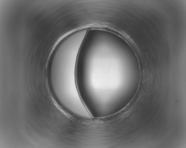 X0000081600838200701151051