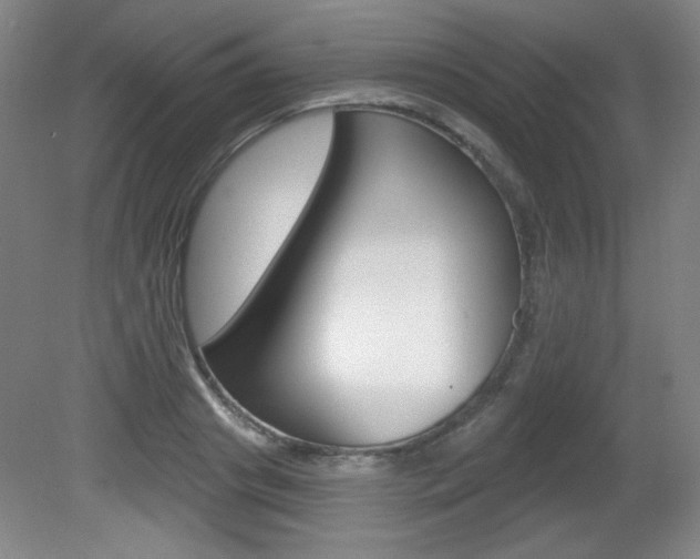 X0000081600841200701151052