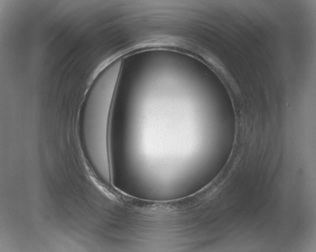 X0000081600842200701151052