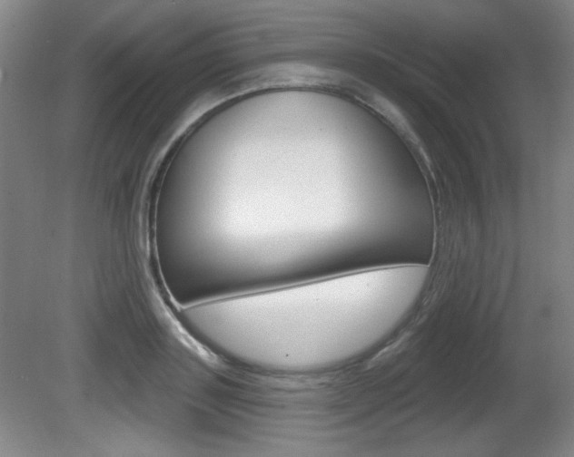 X0000081600843200701151052