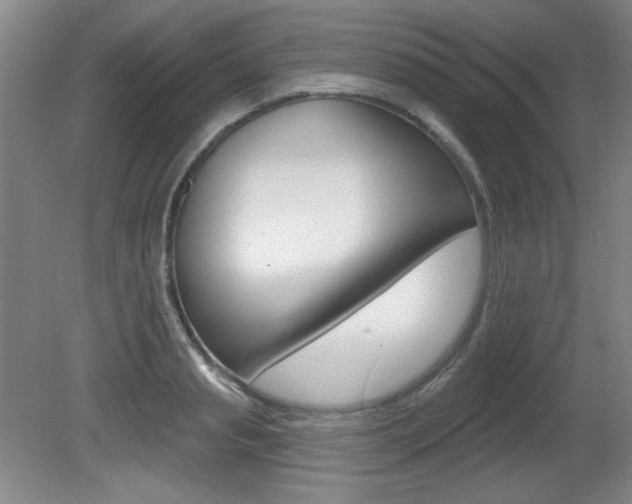 X0000081600845200701151052