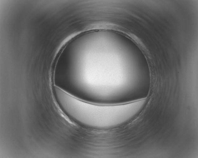 X0000081600846200701151052