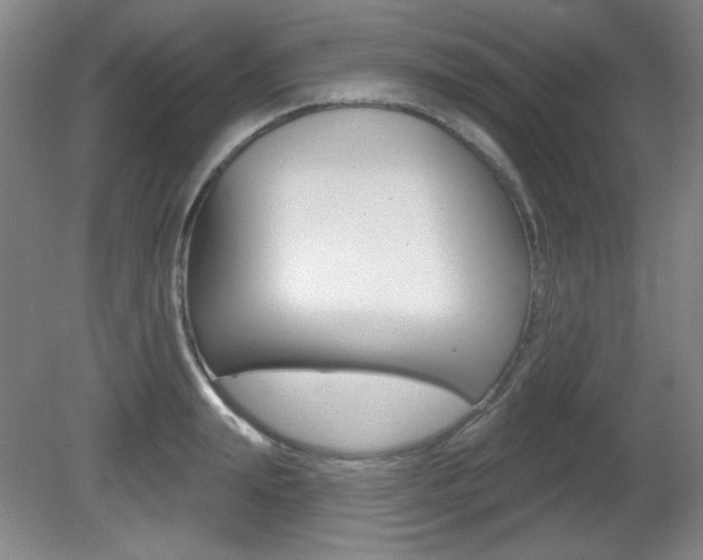 X0000081600847200701151052