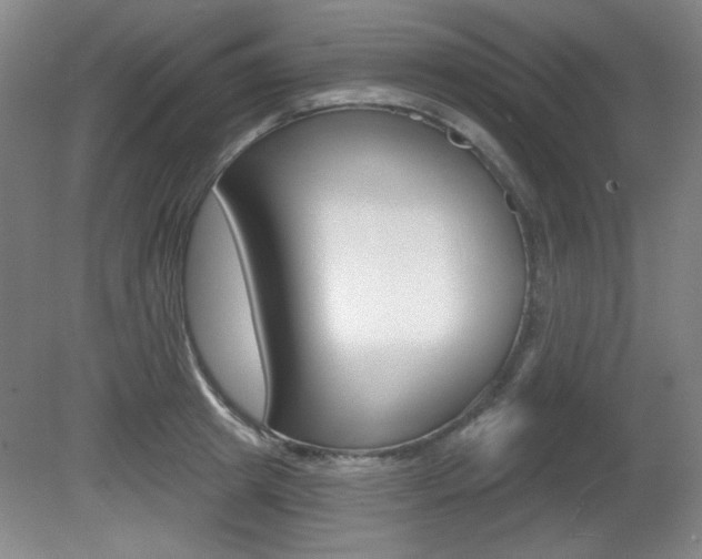 X0000081600849200701151052