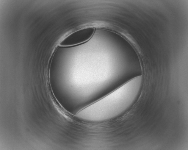 X0000081600850200701151052