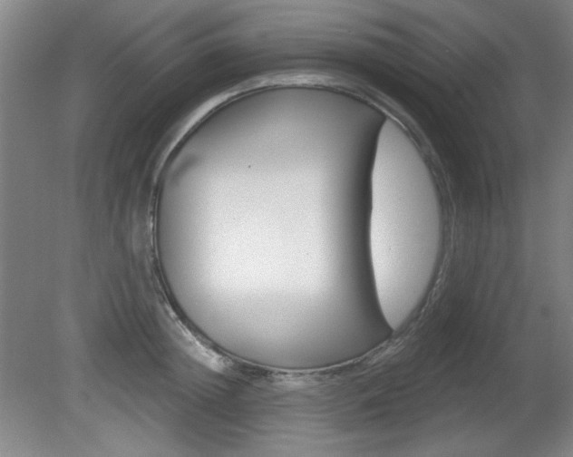 X0000081600852200701151052