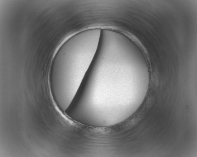 X0000081600855200701151052