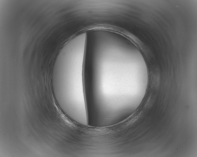 X0000081600857200701151052