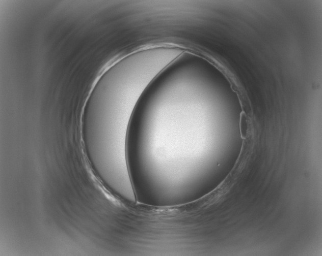 X0000081600858200701151052