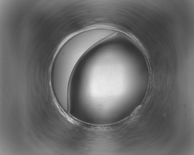 X0000081600862200701151052