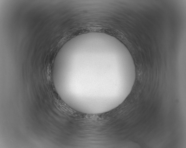 X0000081600866200701151051