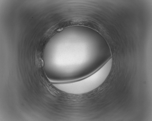 X0000081600868200701151051