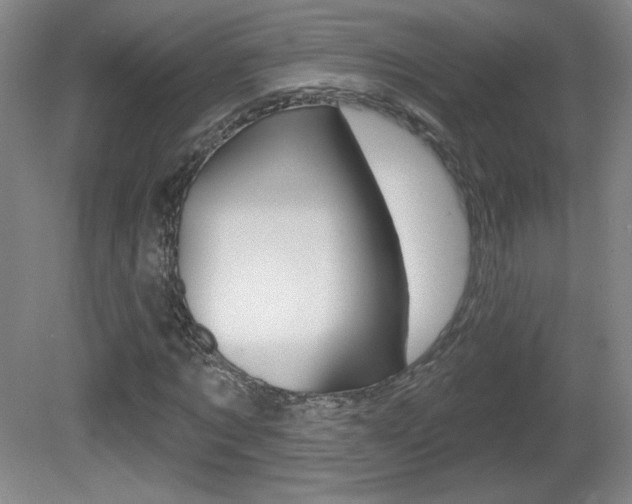 X0000081600869200701151051