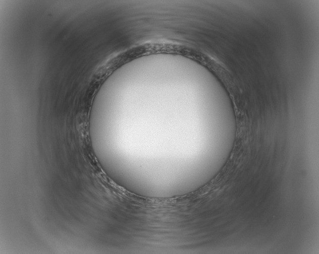 X0000081600870200701151051