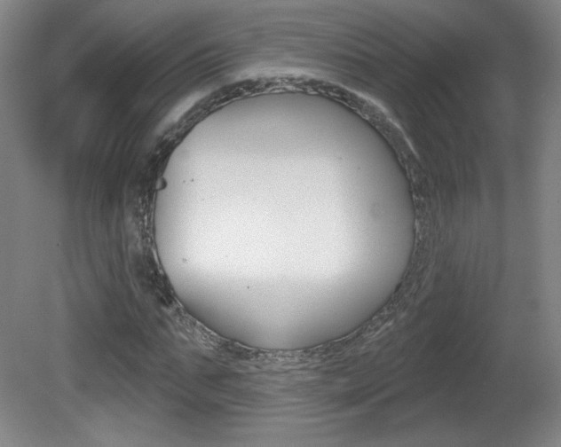 X0000081600871200701151051