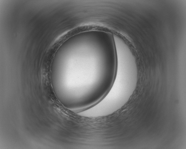 X0000081600872200701151051