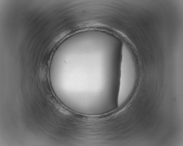 X0000081600873200701151051
