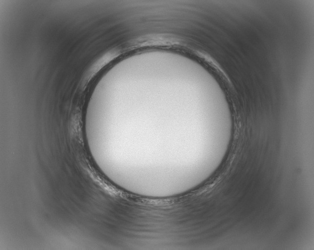 X0000081600874200701151051